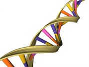 DNA_Double_Helix2.png